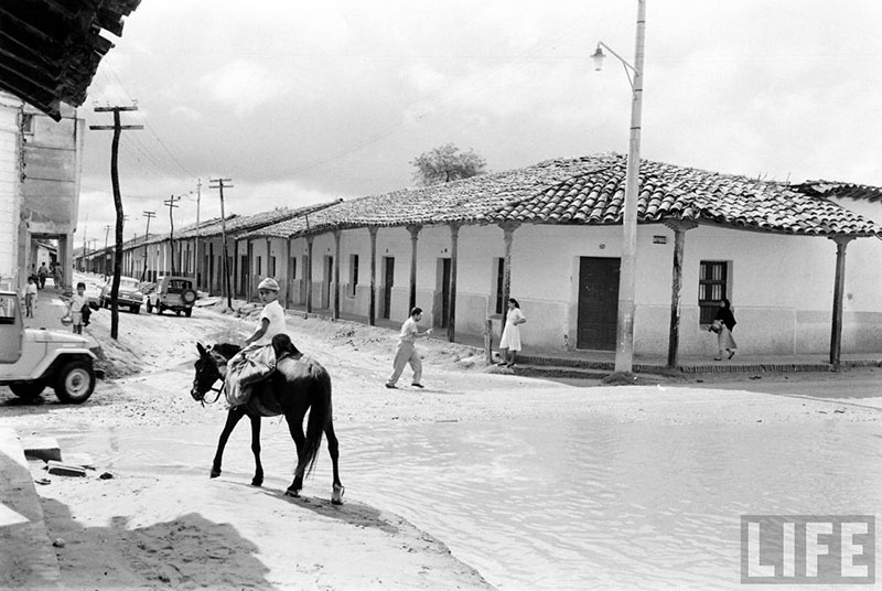         Niño a caballo sobre la calle Pari de ida a la calle Independencia – fotografía 2 de 3
