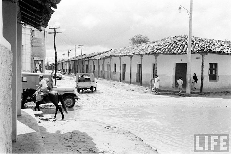         Niño a caballo sobre la calle Pari de ida a la calle Independencia – fotografía 3 de 3
