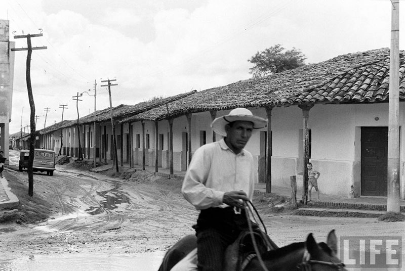         Hombre a caballo mirando al fotógrafo
