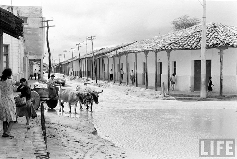         Carretón jalado por dos bueyes doblando a la calle Pari desde la calle Independencia – fotografía 1 de 4
