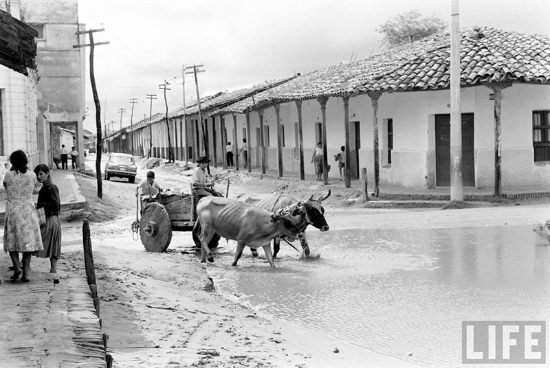         Carretón jalado por dos bueyes doblando a la calle Pari desde la calle Independencia – fotografía 2 de 4
