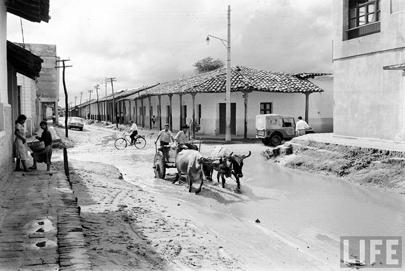         Carretón jalado por dos bueyes doblando a la calle Pari desde la calle Independencia – fotografía 3 de 4
