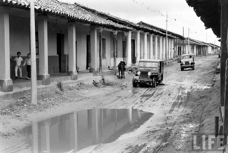         Caballo parado en la calle al lado de la vereda mientras circulan vehículos por la calle – fotografía 4 de 5
